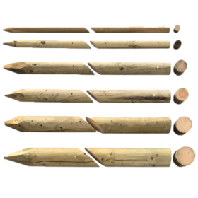 pali